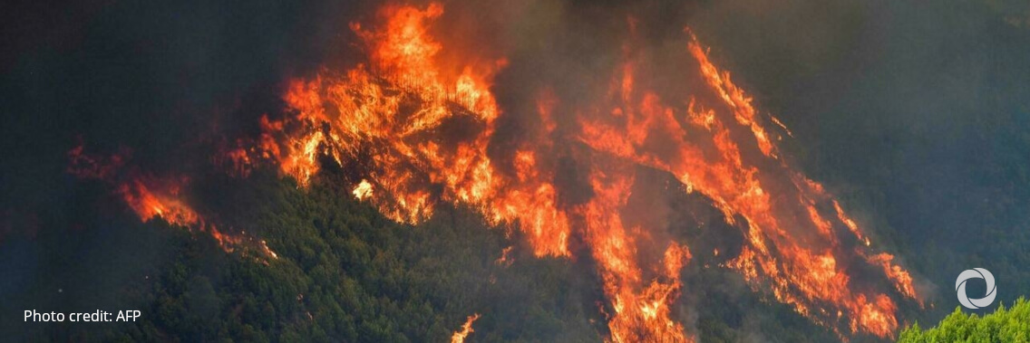 Forest fires: EU continues to mobilise assistance for Greece and other countries in region Forest fires: EU continues to mobilise assistance for Greece and other countries in region