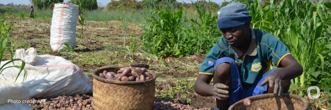 The Government of Japan donates $1.8 million to support food assistance in Northern Mozambique The Government of Japan donates $1.8 million to support food assistance in Northern Mozambique