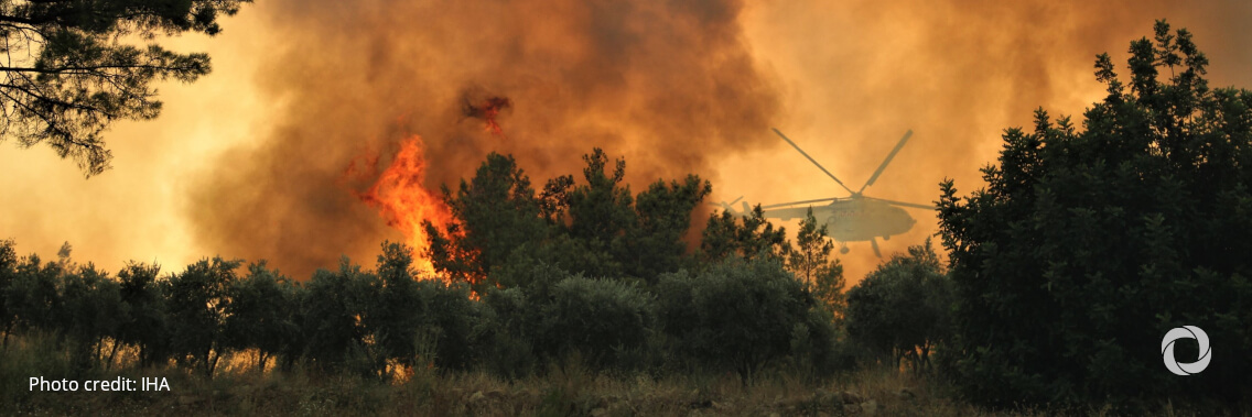 Forest fires: EU continues to channel assistance, further planes for Italy and Algeria Forest fires: EU continues to channel assistance, further planes for Italy and Algeria