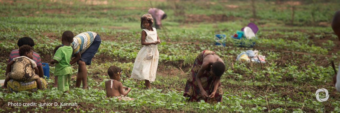 India extends up to a million USD for climate resilient agriculture in Zimbabwe India extends up to a million USD for climate resilient agriculture in Zimbabwe