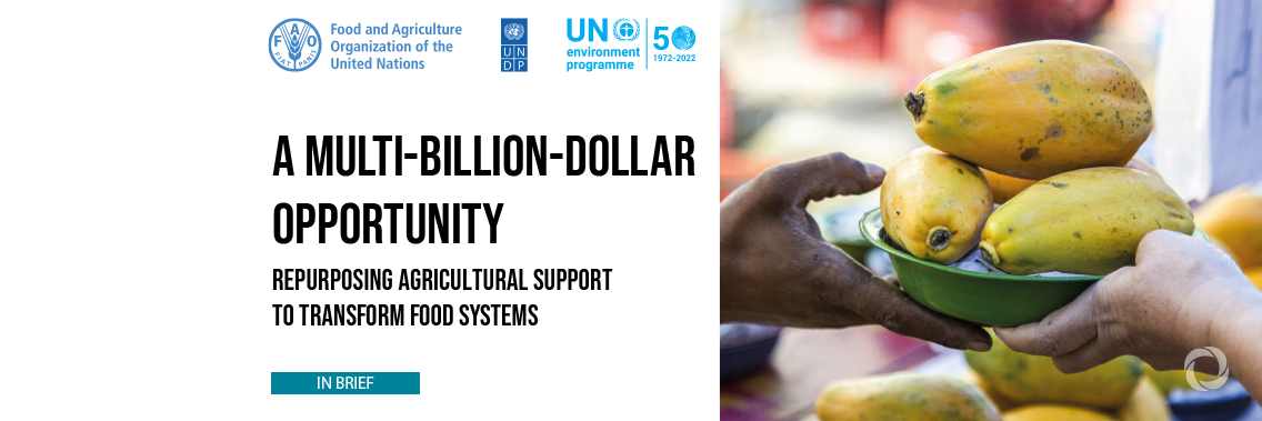 UN report calls for repurposing of USD 470 billion of agricultural support that distorts prices, environment and social goals UN report calls for repurposing of USD 470 billion of agricultural support that distorts prices, environment and social goals