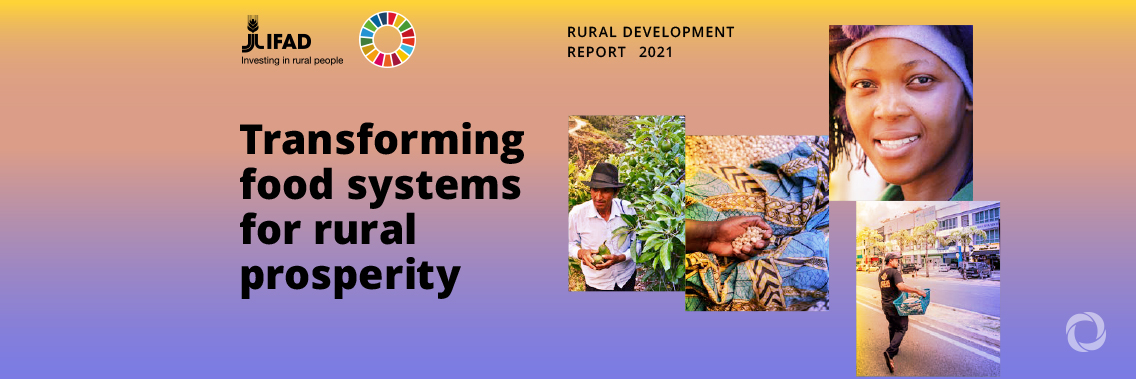 Global food systems must be disrupted and changed- IFAD report Global food systems must be disrupted and changed- IFAD report