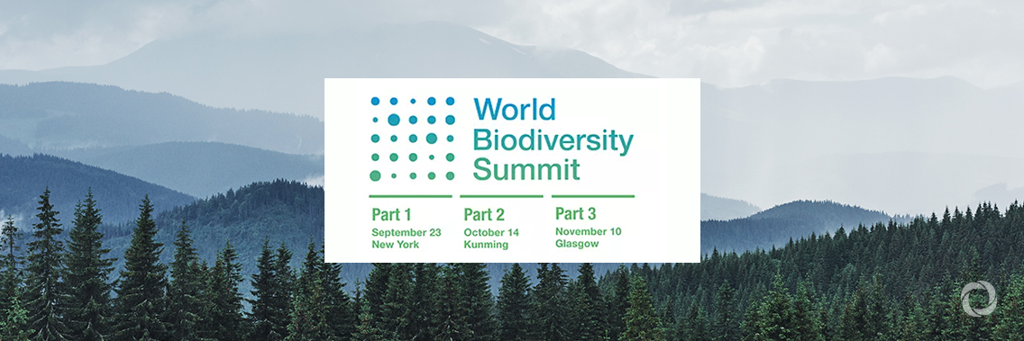 World Biodiversity Summit World Biodiversity Summit