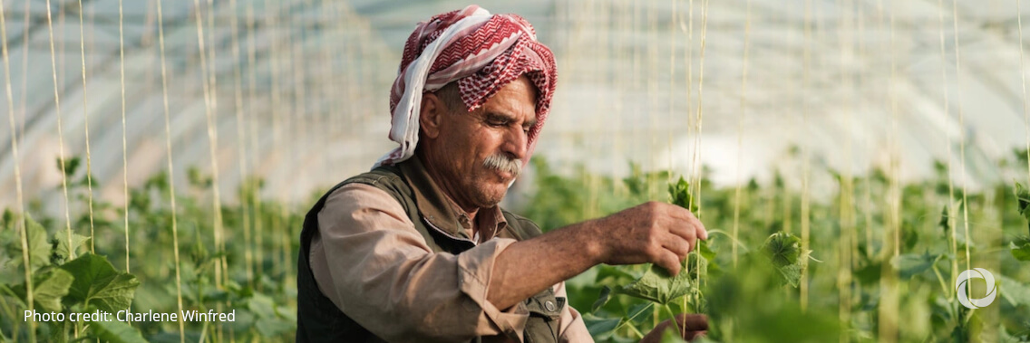 FAO urges G20 countries to increase support for rural farmers in Afghanistan FAO urges G20 countries to increase support for rural farmers in Afghanistan