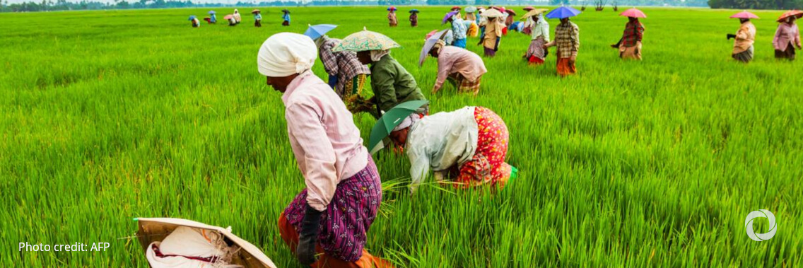 FAO at forefront of global efforts to build partnership between agri-food systems and conservation FAO at forefront of global efforts to build partnership between agri-food systems and conservation