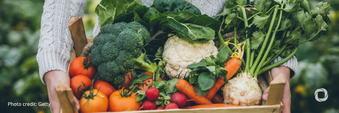 FAO and CIRAD join forces to promote sustainable production of fruit and vegetables