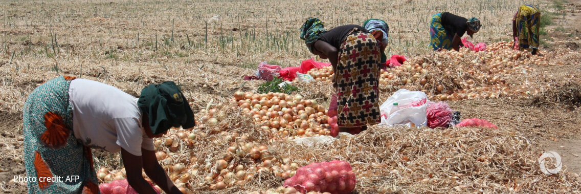 Alarming new FAO report shows decades of development efforts undermined Alarming new FAO report shows decades of development efforts undermined