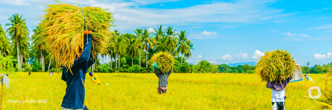 Protecting biodiversity is crucial to fighting hunger - IFAD calls for increased investments Protecting biodiversity is crucial to fighting hunger - IFAD calls for increased investments