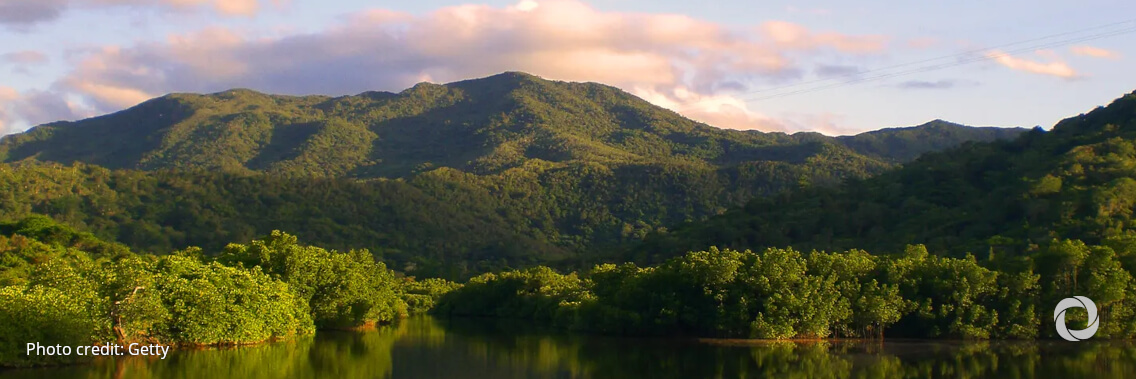 World leaders pledge US$ 5 billion to protect nature World leaders pledge US$ 5 billion to protect nature