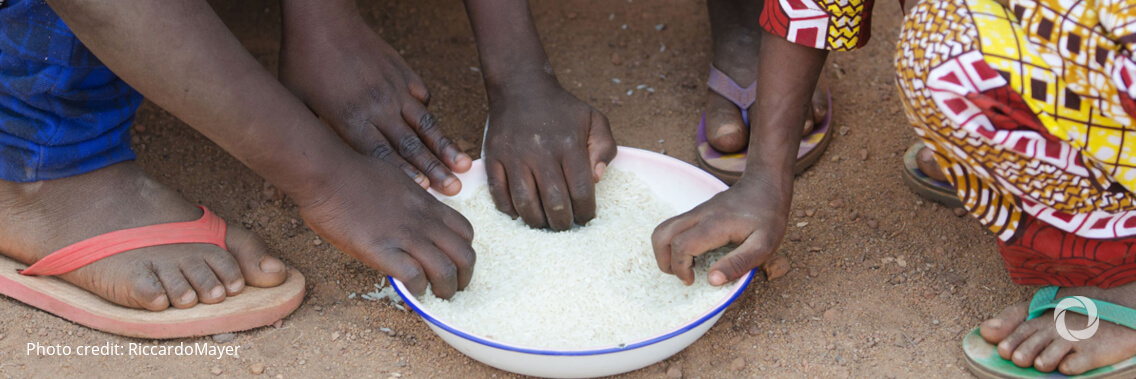 FAO calls for a greater focus on heading off food crises before they strike