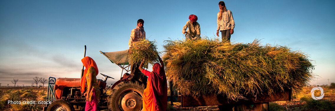 ADB approves $100 million loan for agribusiness development in India
