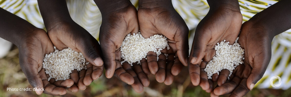 WFP institutes further cuts on food rations for refugees in Kenya as funds dry up WFP institutes further cuts on food rations for refugees in Kenya as funds dry up