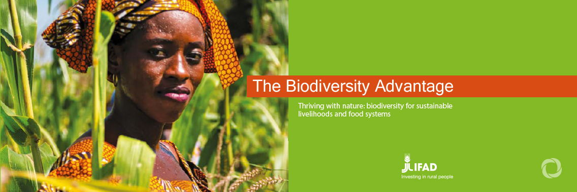 If we lose biodiversity, we will not address climate change or hunger If we lose biodiversity, we will not address climate change or hunger