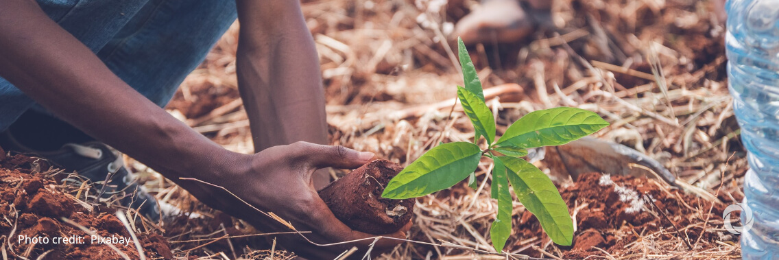7 climate action highlights to remember before COP26 7 climate action highlights to remember before COP26