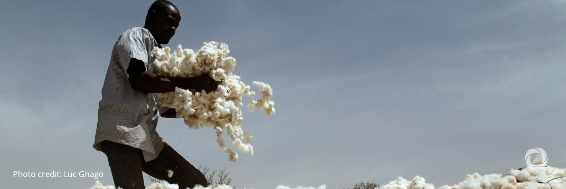 Cotton sustains more than 100 million families worldwide Cotton sustains more than 100 million families worldwide