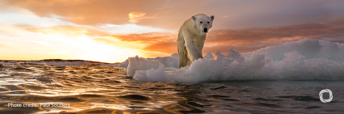 How global warming can be limited to 1.5 degrees How global warming can be limited to 1.5 degrees