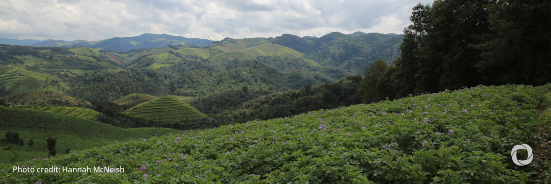 World Bank and Guatemala sign US$52.5m agreement to cut carbon emissions and preserve forests World Bank and Guatemala sign US$52.5m agreement to cut carbon emissions and preserve forests