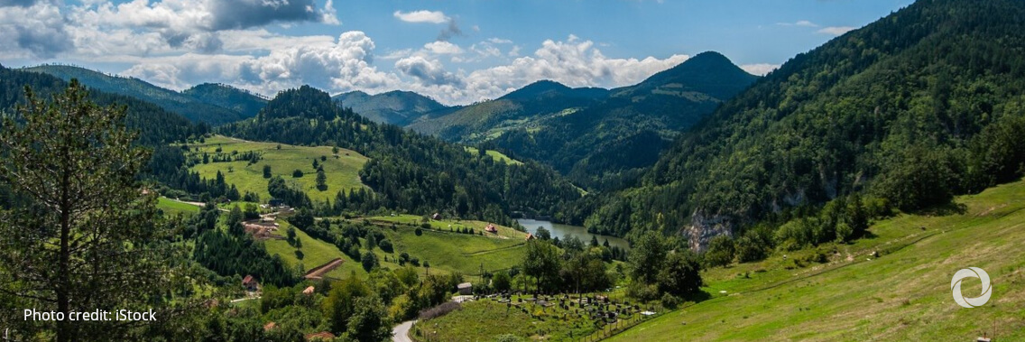 Using nature in infrastructure projects could save US$248bn per year Using nature in infrastructure projects could save US$248bn per year