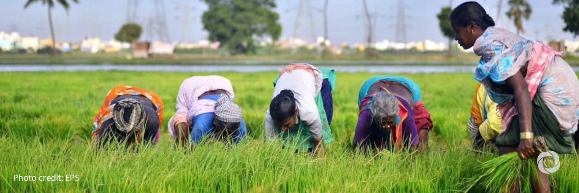 Ahead of global climate talks, public development banks join forces to boost investments in sustainable food systems