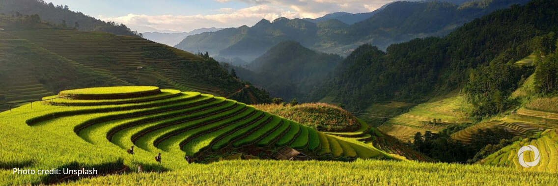 Vietnam’s development agenda receives additional boost by Australia, World Bank Group Vietnam’s development agenda receives additional boost by Australia, World Bank Group