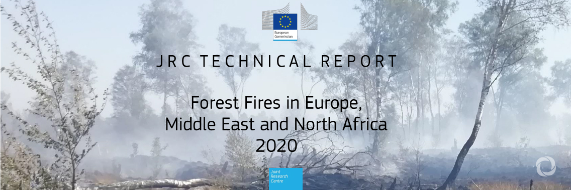 Commission report on forest fires: climate change is more noticeable every year Commission report on forest fires: climate change is more noticeable every year