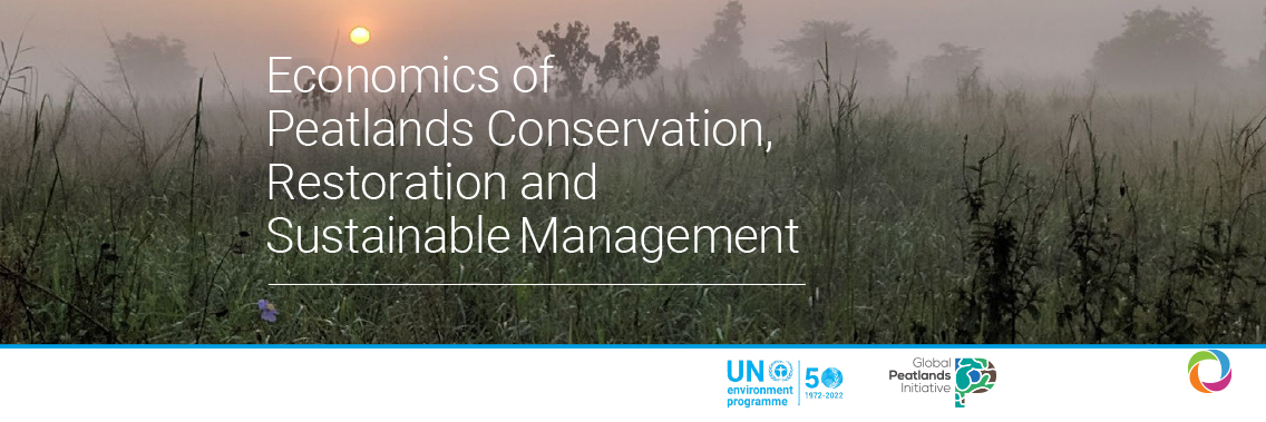 Conserve and restore peatlands to slash global emissions – new report
