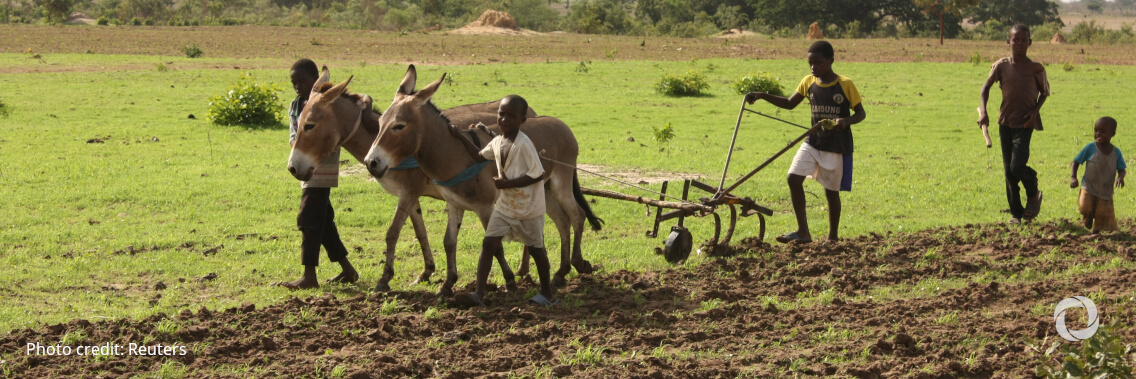 Sweden pledging millions to IFAD’s climate fund