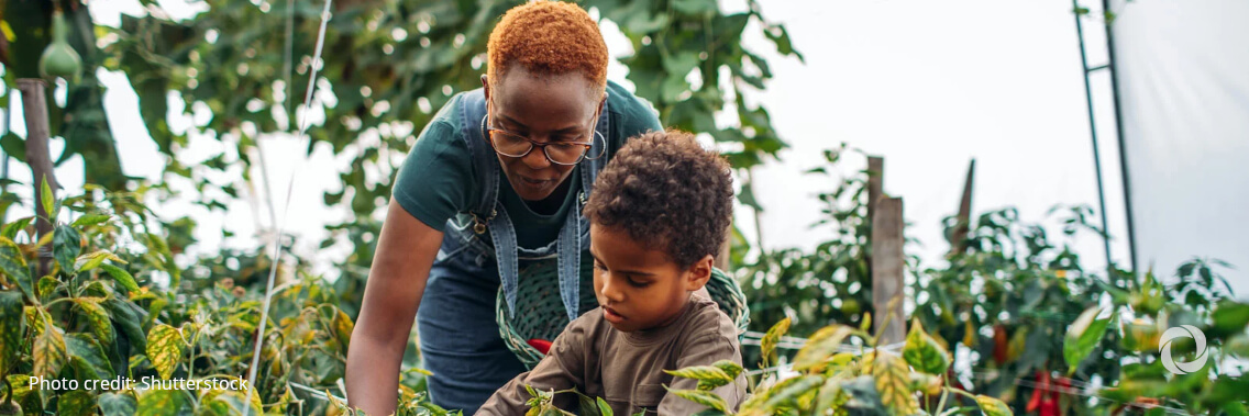 Supply chain joins deforestation and farming practices as main source of emissions in agri-food sector Supply chain joins deforestation and farming practices as main source of emissions in agri-food sector