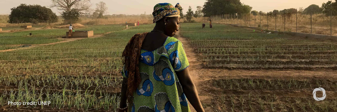 Gambia secures $40 million for an inclusive, resilient and competitive agriculture