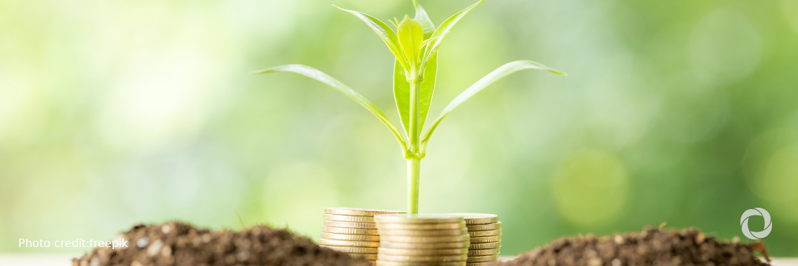 Net-zero Asset Owner Alliance calls for scaling blended finance to invest in emerging markets