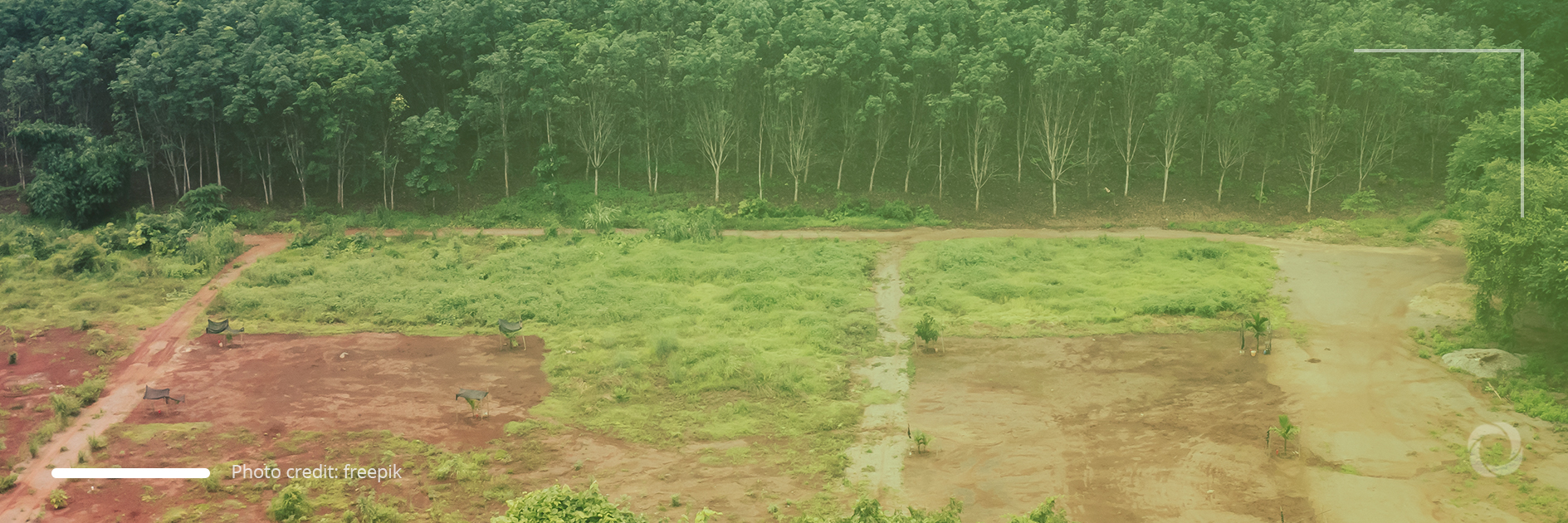 Elon Musk willing to help stop Amazon deforestation Elon Musk willing to help stop Amazon deforestation