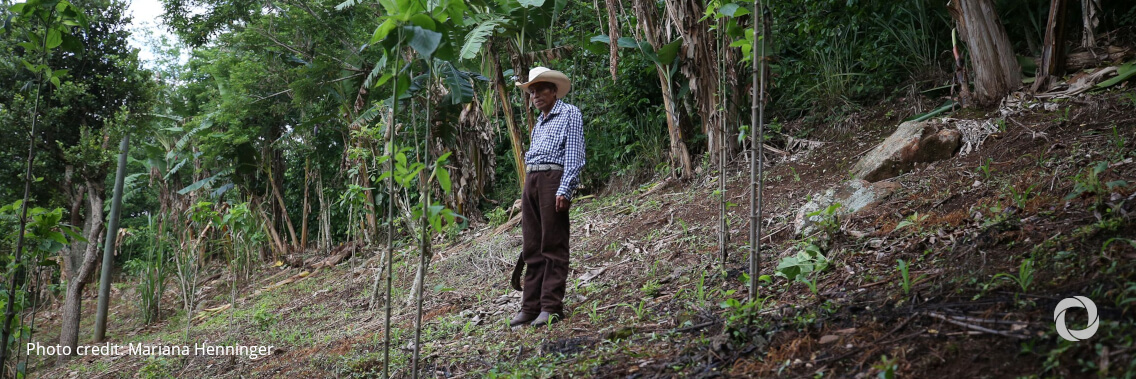 IRC calls on COP26 to prioritize more concerted effort to address climate change in Northern Central America