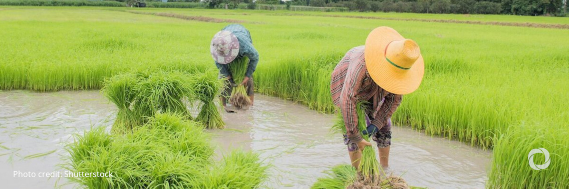 ADB welcomes promising steps forward at COP26 for climate action in Asia and the Pacific ADB welcomes promising steps forward at COP26 for climate action in Asia and the Pacific