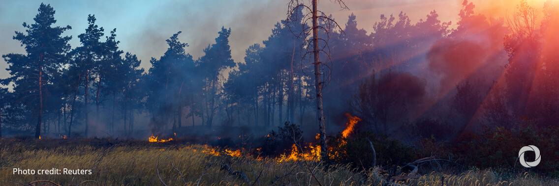 CDC Group to invest over £3 billion over the next five years to combat the climate emergency CDC Group to invest over £3 billion over the next five years to combat the climate emergency