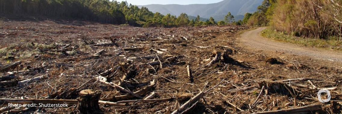 Commission adopts new proposals to stop deforestation, innovate sustainable waste management and make soils healthy for people, nature and climate