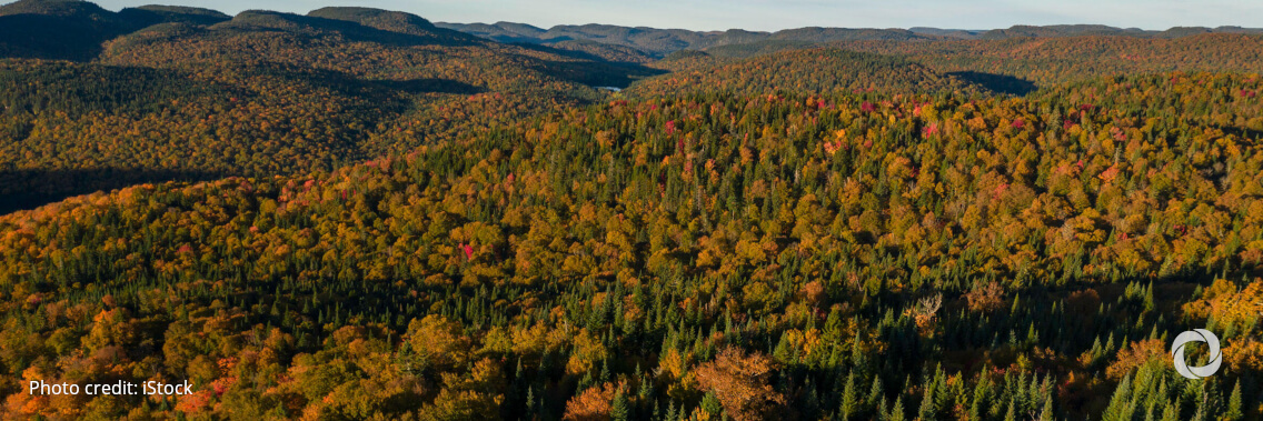 COP26: European Commission announces €1 billion pledge to protect world forests COP26: European Commission announces €1 billion pledge to protect world forests