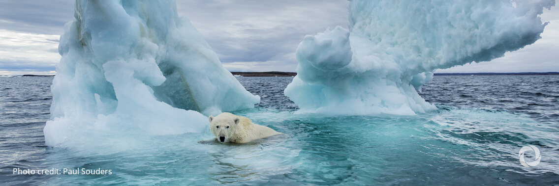 State of Climate in 2021: Extreme events and major impacts State of Climate in 2021: Extreme events and major impacts