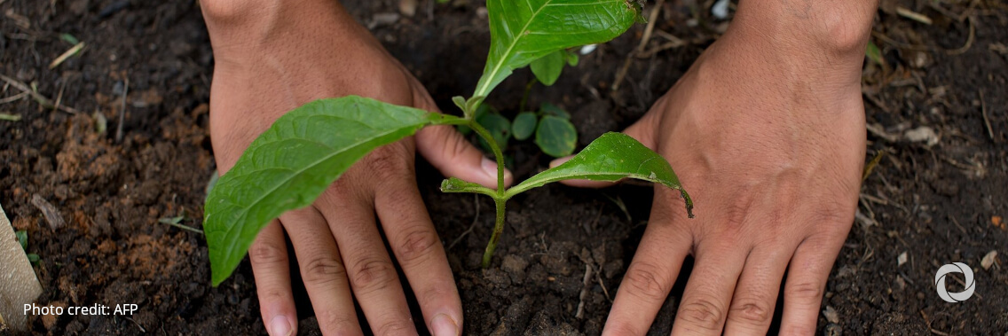 ADB, EIB sign MOU on core areas of climate, environment