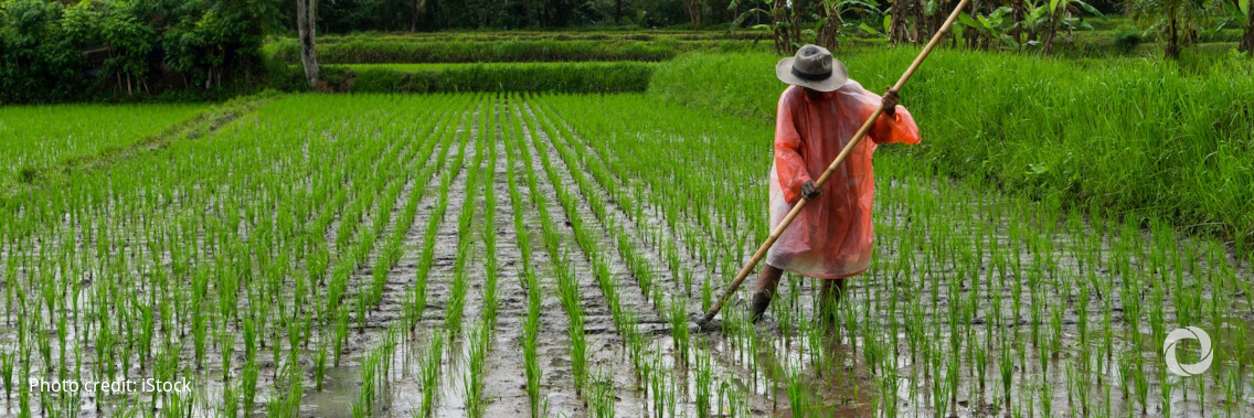Climate action - mobilising private finance for sustainable land-use across Southeast Asia Climate action - mobilising private finance for sustainable land-use across Southeast Asia