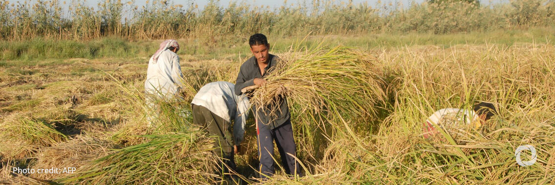 PepsiCo partners with the UN World Food Programme in Iraq to support farmers affected by conflict, displacement, and climate change