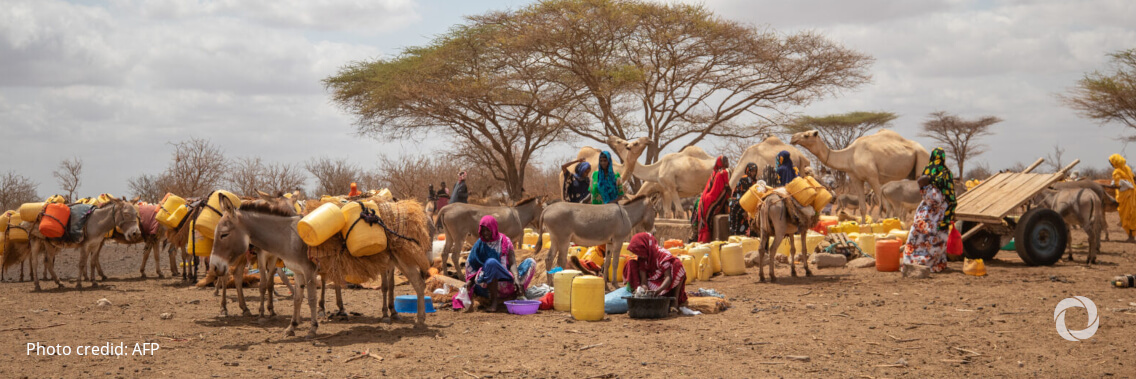 Northern Kenya faces a looming disaster as drought intensifies
