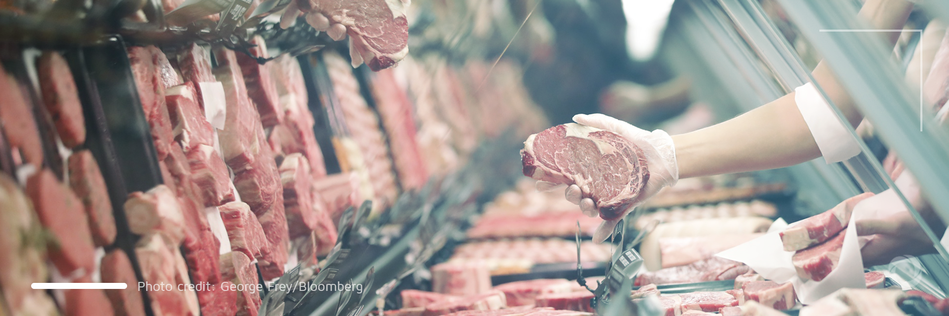 European supermarkets ban Brazilian beef over deforestation-linked production