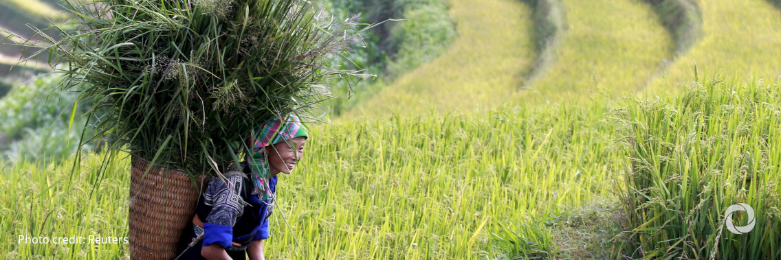 ADB allocates $4.1 million to support COVID-19 rural recovery