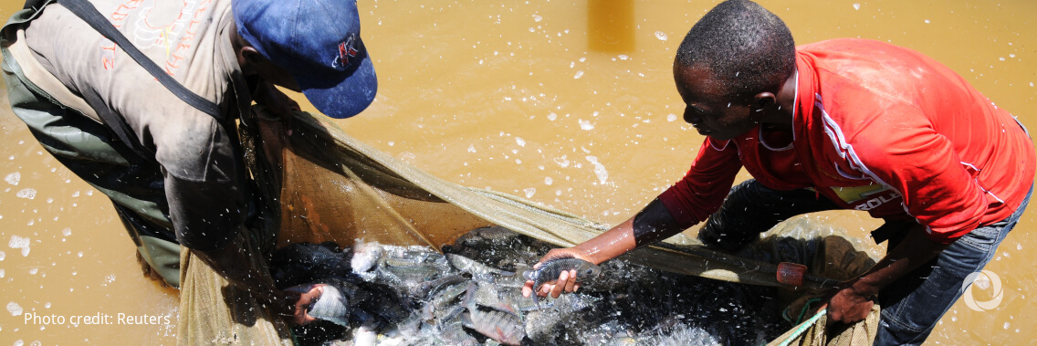 Norway commits funds to IFAD to lift aquaculture communities out of poverty and lower malnutrition in Kenya, Mozambique and Tanzania