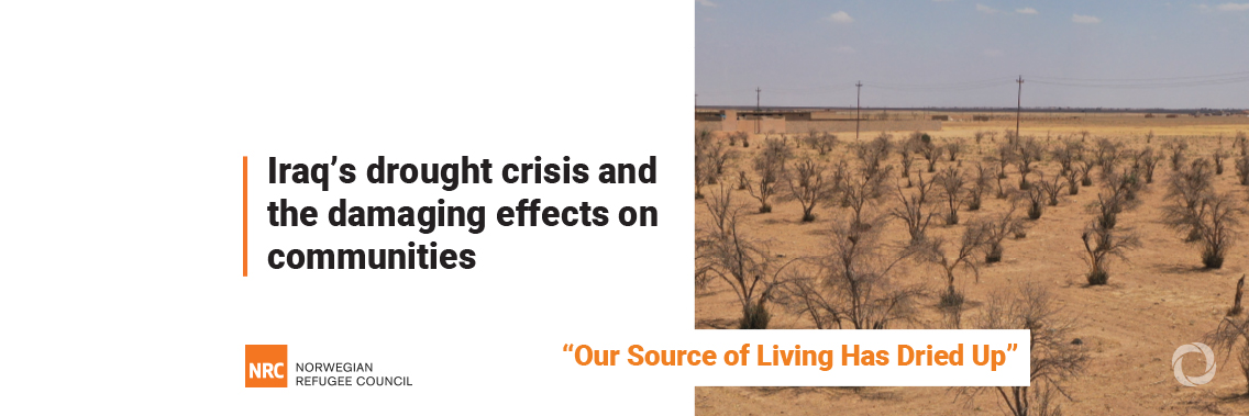 One in two families in drought-affected Iraq need food assistance One in two families in drought-affected Iraq need food assistance