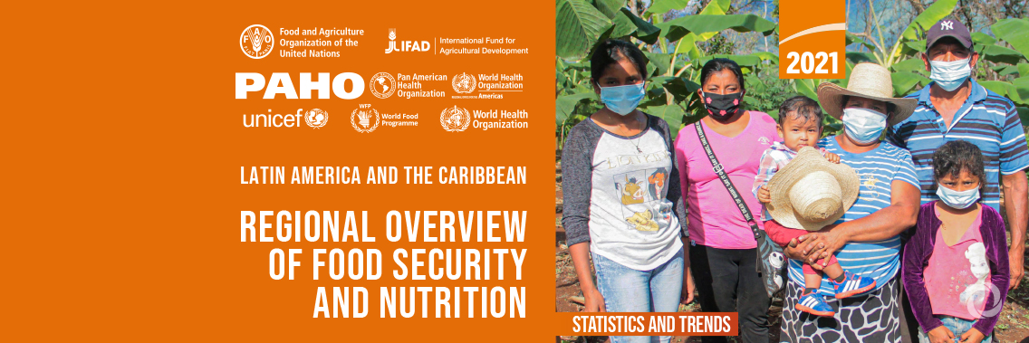 Hunger in Latin America and the Caribbean rose by 13.8 million people in just one year, UN report