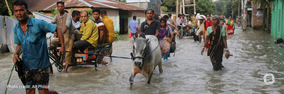 IRC launches climate change response in southern Bangladesh