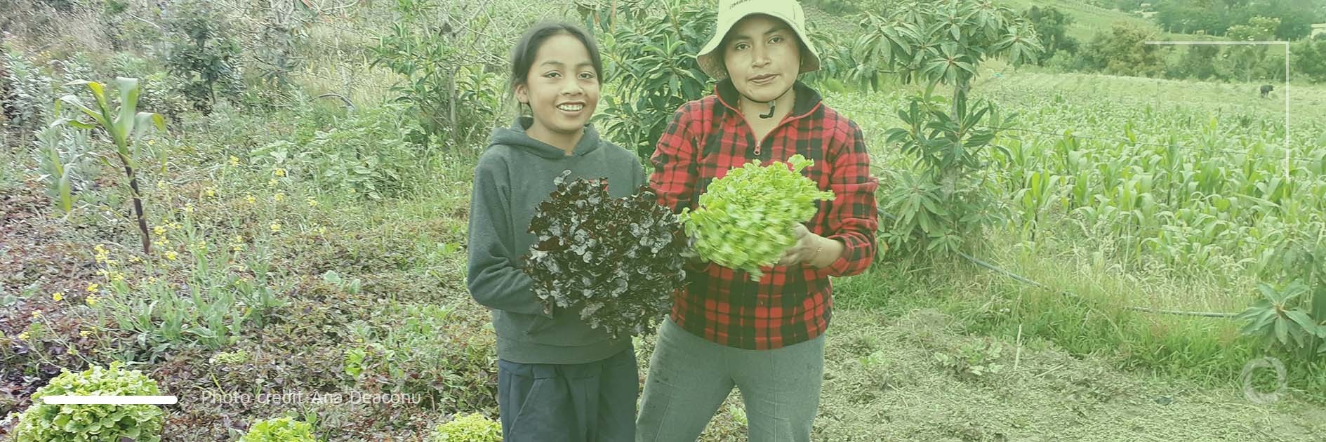 Agroecological pathways to develop healthier diets within food systems