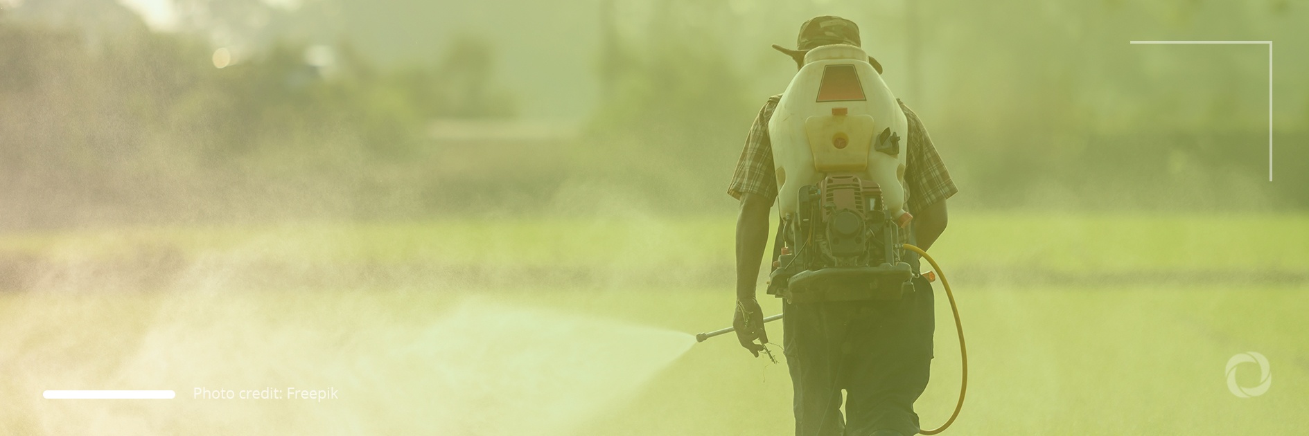 Lack of fertilizers puts food production at risk in Brazil