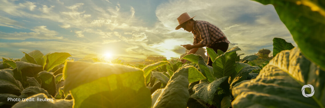 United Nations rural poverty agency IFAD set to boost its ethical investments United Nations rural poverty agency IFAD set to boost its ethical investments
